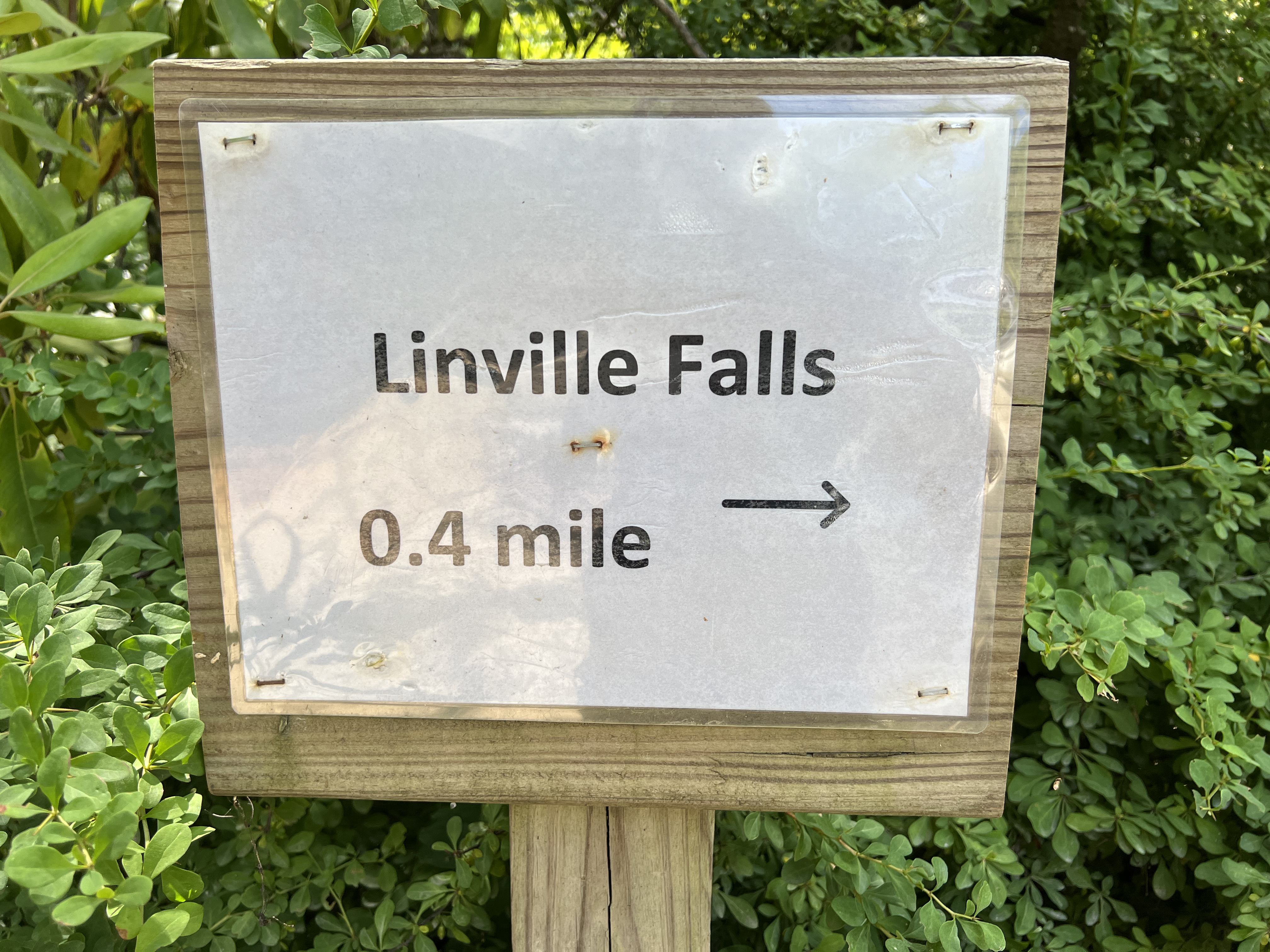./2024/08 - Banner Elk/Linville Falls/IMG_2068.jpg